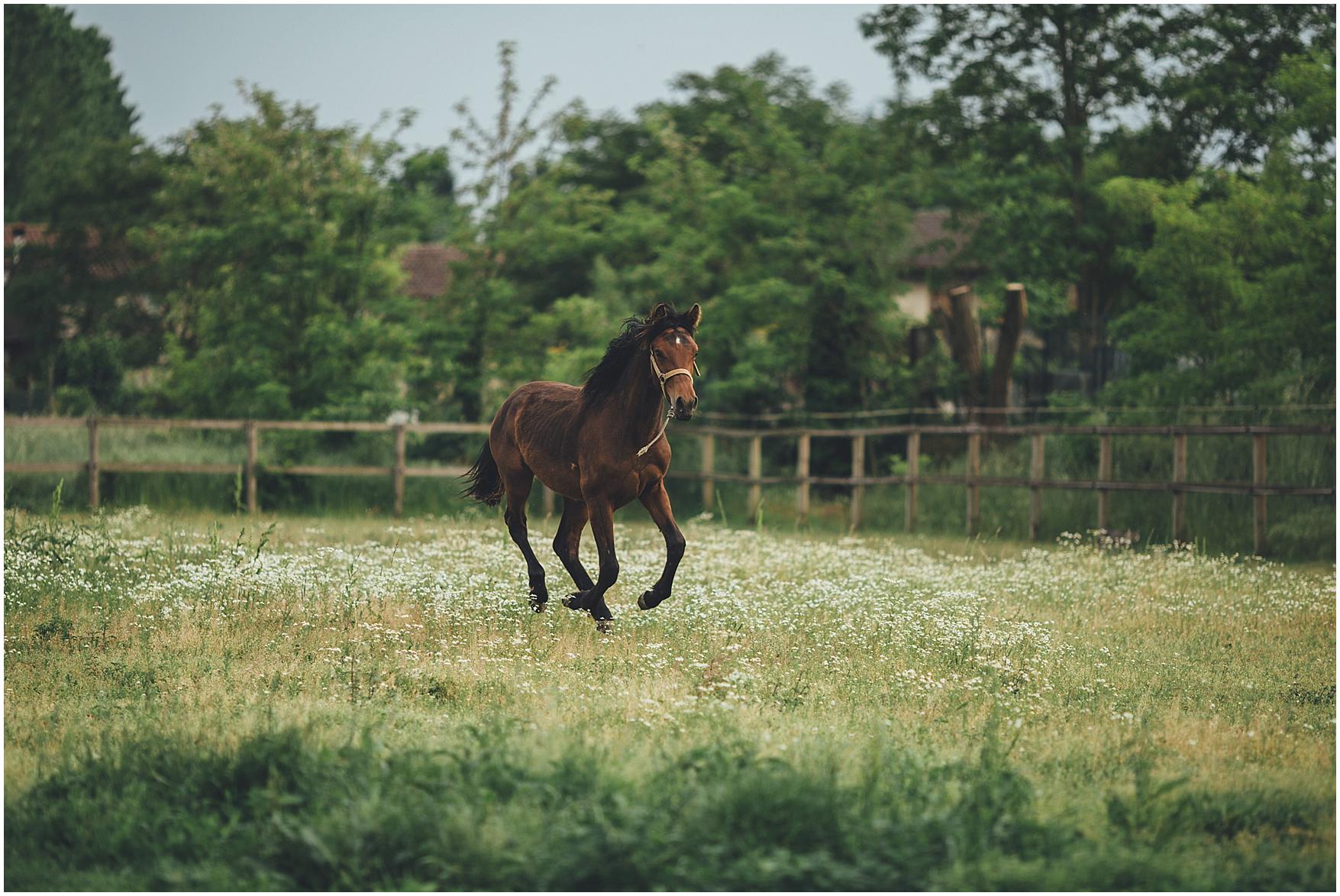 servizio di coppia country chic_0036