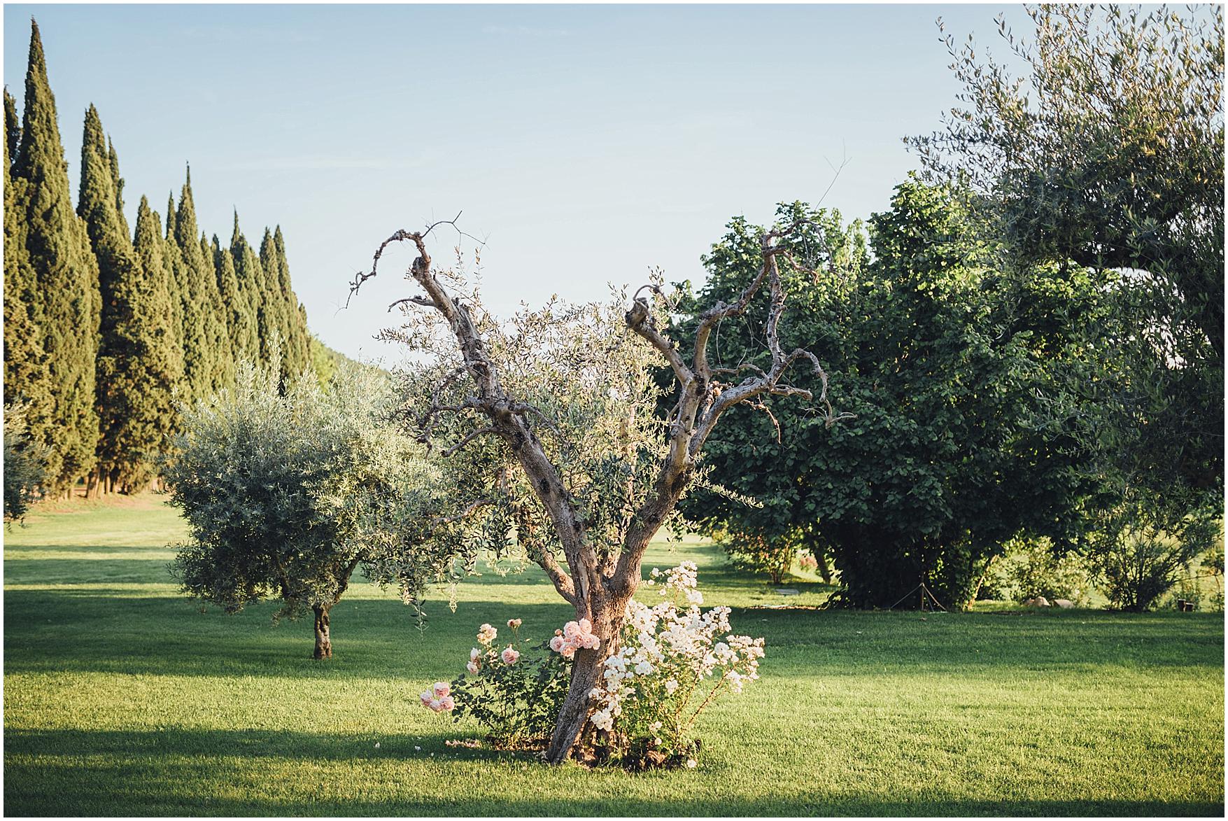 matrimonio a villa cordevigo_1134